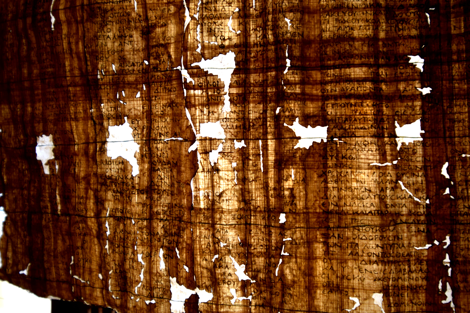 Ercolano - Dagli antichi papiri carbonizzati si è scoperto il luogo di sepoltura di Platone